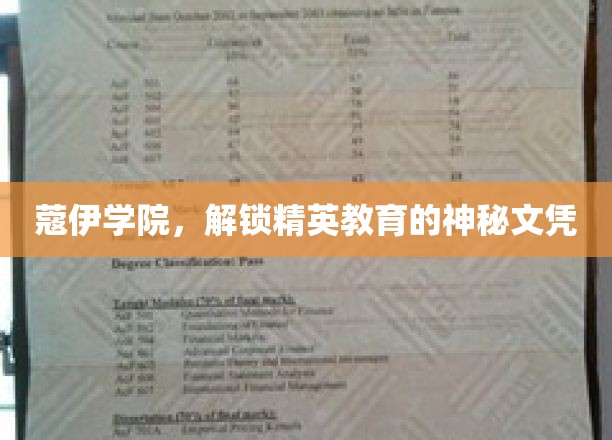 蔻伊学院，开启精英教育的神秘之旅