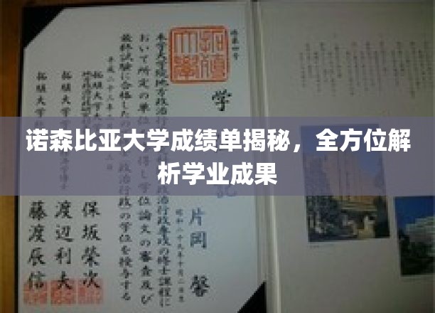 诺森比亚大学成绩单深度解析，学业成就全揭秘
