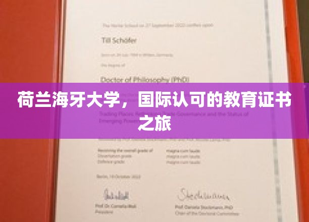 荷兰海牙大学,国际认可的教育证书之旅