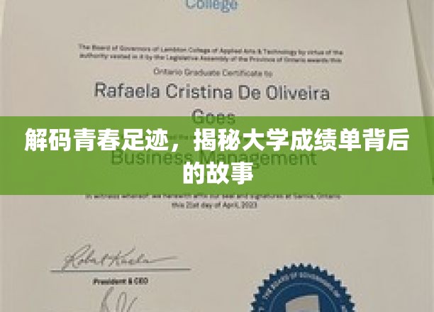 青春足迹解码，探寻大学成绩单背后的成长轨迹