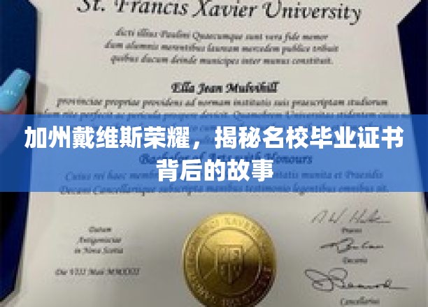 加州荣耀之光，一探戴维斯名校证书背后的传奇故事