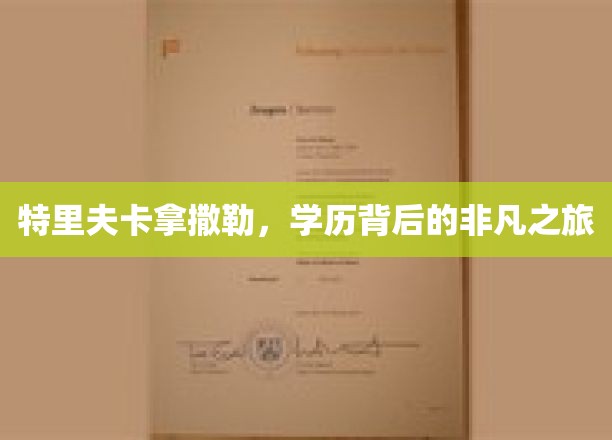 穿越学术迷宫，特里夫卡拿撒勒非凡学历探寻之旅