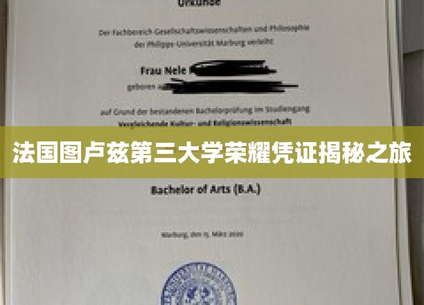 法国图卢兹第三大学荣耀凭证揭秘之旅