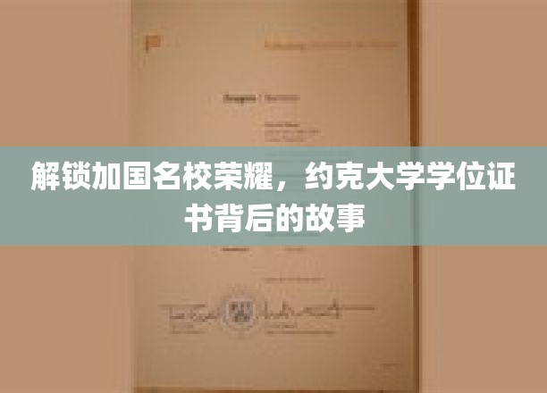 探寻约克大学荣耀之谜，学位证书背后的传奇故事