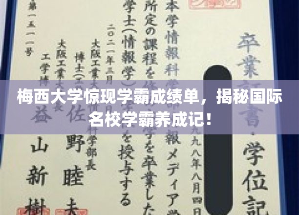 梅西学霸传奇，揭秘国际名校精英背后的学习秘诀