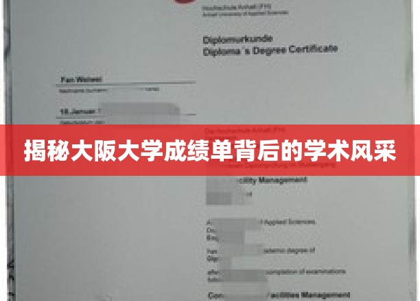 探寻大阪大学成绩单中的学术魅力与卓越成就
