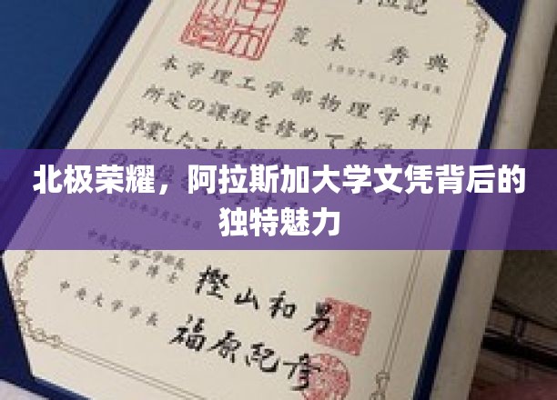 阿拉斯加大学文凭，揭开北极地区的璀璨教育奥秘