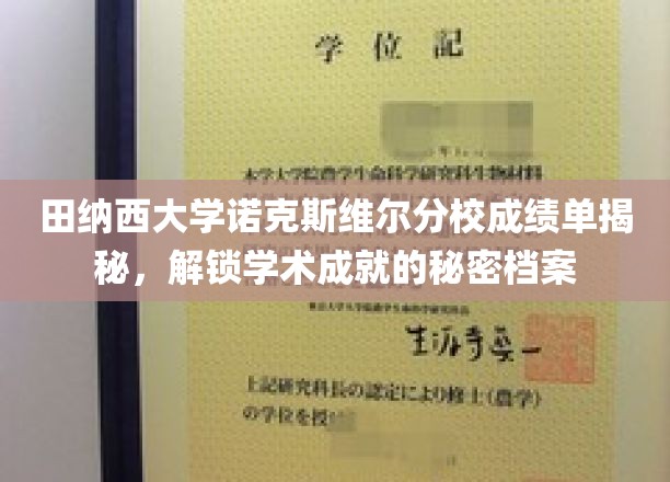 揭开田纳西大学诺克斯维尔分校成绩单的神秘面纱，探寻学子成就背后的故事