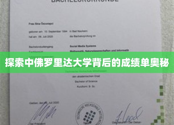 揭秘中佛罗里达大学卓越成就的秘密面纱