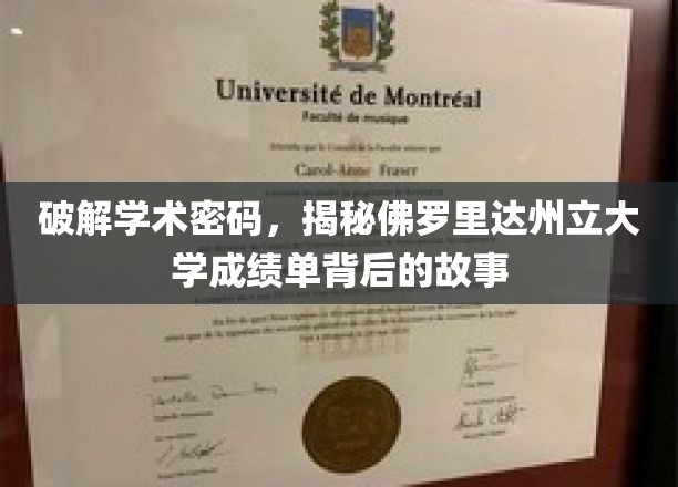 解码学术奥秘，一探佛罗里达州立大学成绩单的深层秘密