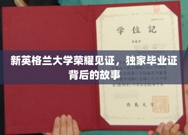 新英格兰大学毕业证背后的荣耀传奇，揭秘独家荣誉背后的故事