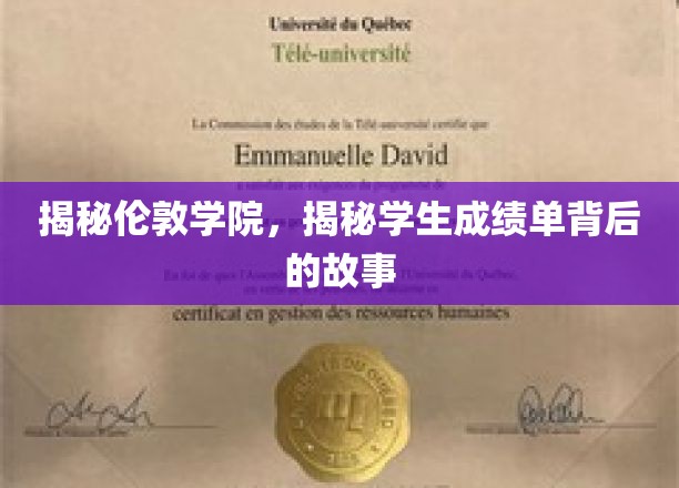 深入剖析伦敦学院，揭示学生成绩单背后的精彩故事