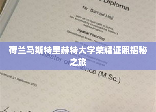 荷兰马斯特里赫特大学荣耀证照揭秘之旅
