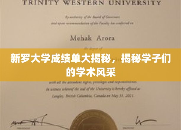 新罗大学成绩单大揭秘，揭秘学子们的学术风采