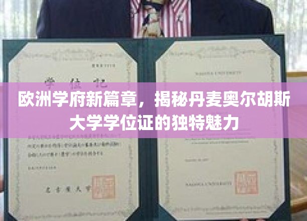 丹麦奥尔胡斯大学学位证，欧洲学府的独到风采解析