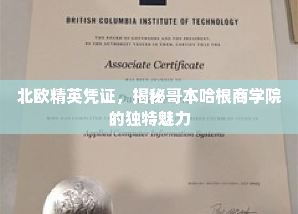 北欧精英凭证，揭秘哥本哈根商学院的独特魅力