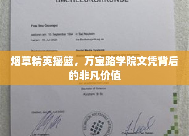 万宝路精英养成记，揭秘学院文凭背后的职场金钥匙