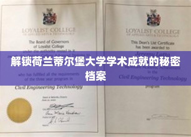 荷兰蒂尔堡大学，揭秘其学术辉煌背后的神秘力量