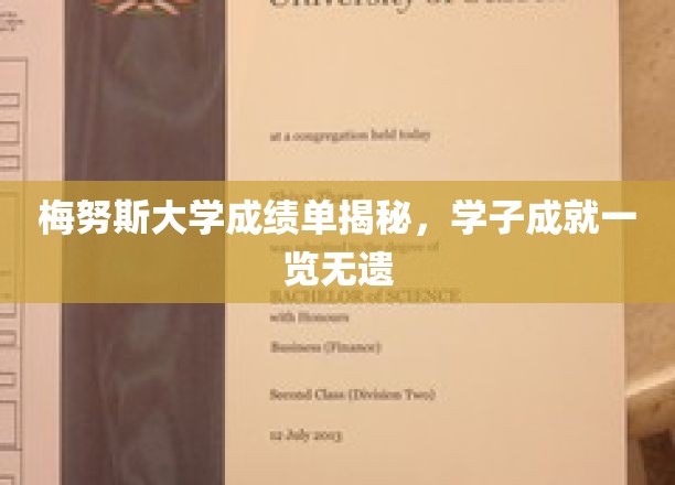解码梅努斯大学荣耀榜，学子卓越成就尽收眼底