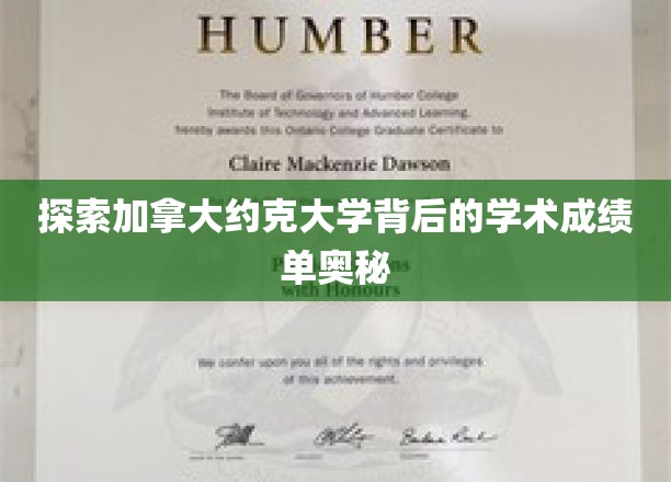 揭秘加拿大约克大学背后的学术成绩单奥秘