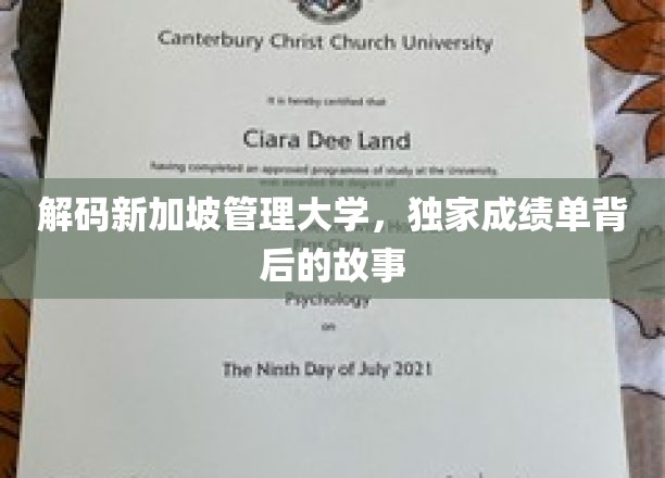 揭开新加坡管理大学成绩单背后的神秘面纱
