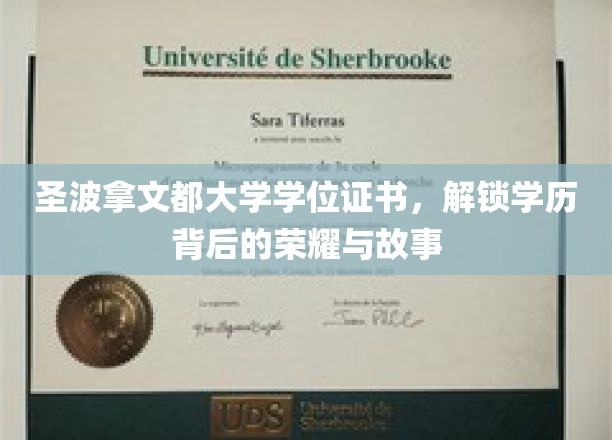 探寻圣波拿文都大学学位证书，荣耀背后的非凡历程