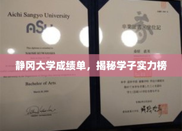 静冈大学成绩单，揭秘学子实力榜