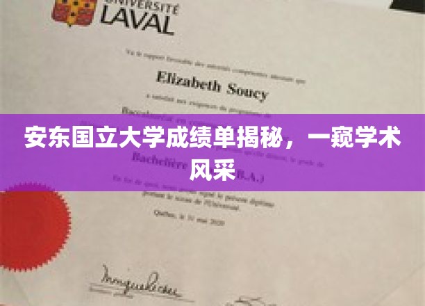 安东国立大学成绩单背后，探寻学霸们的学术之路