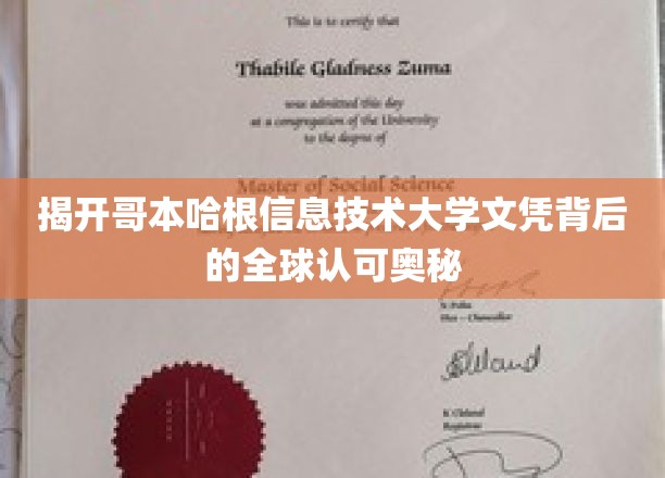 解码哥本哈根信息技术大学文凭的国际通行证之谜