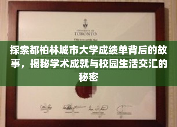 解码都柏林大学，揭开成绩单与校园生活融合的奥秘