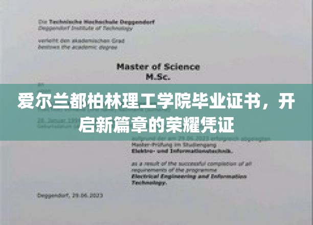 都柏林理工学院荣耀启航，毕业证书见证非凡成就