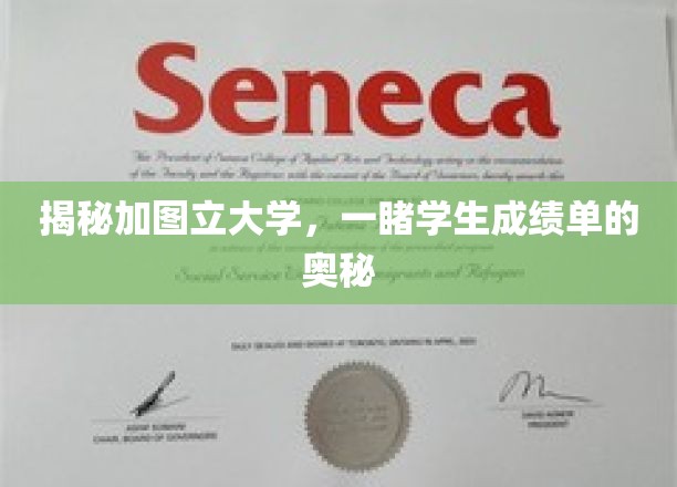揭秘加图立大学，一睹学生成绩单的奥秘