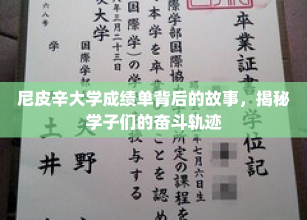 尼皮辛大学成绩单背后的青春足迹