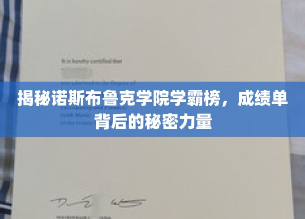 揭秘诺斯布鲁克学院学霸榜，成绩单背后的秘密力量