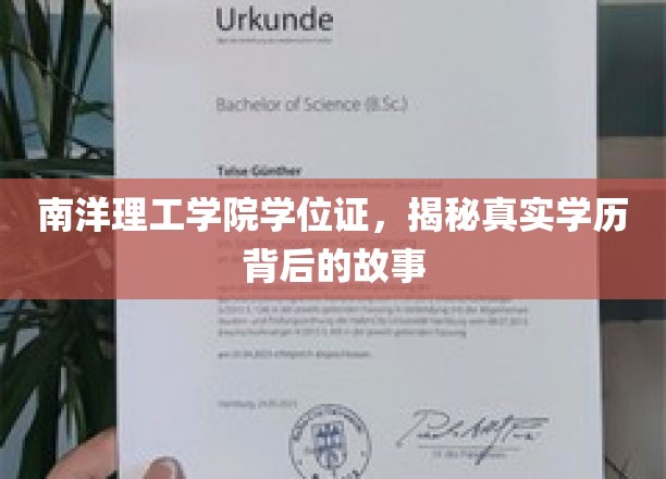南洋理工学院学位证，揭秘真实学历背后的故事