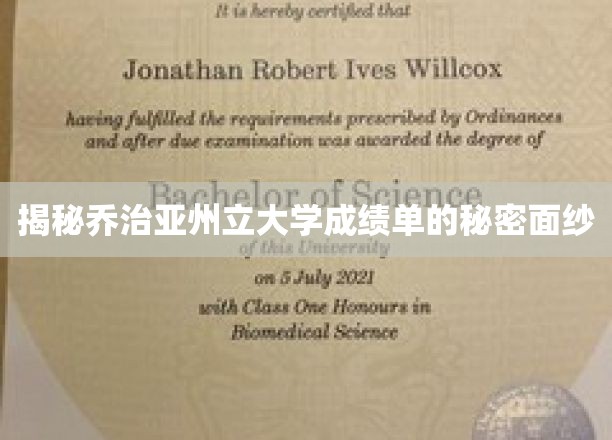 解码乔治亚州立大学成绩单的神秘内幕
