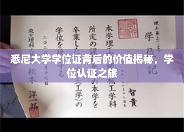 解码悉尼大学学位证，价值与认证之旅的深度解读