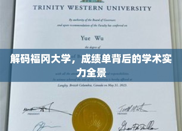 解码福冈大学，成绩单背后的学术实力全景
