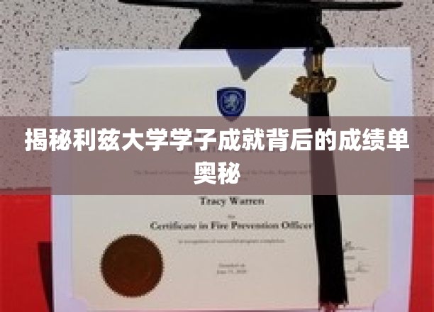 解锁利兹精英学子卓越背后的学术秘籍