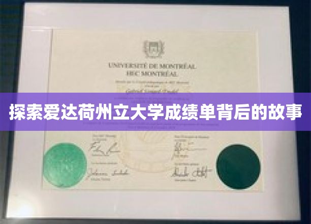 解码爱达荷州立大学成绩单的神秘面纱