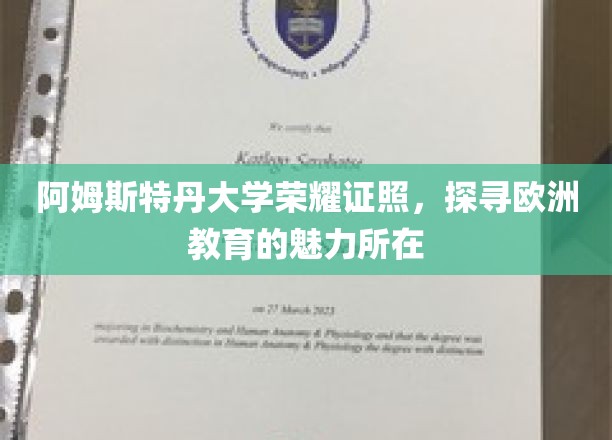 阿姆斯特丹大学荣耀证照，探寻欧洲教育的魅力所在