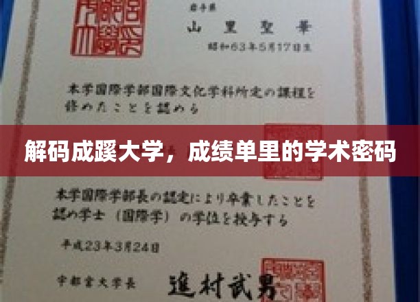 解锁成蹊大学，揭秘成绩单背后的学术奥秘