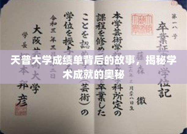 天普大学成绩单背后的故事，揭秘学术成就的奥秘