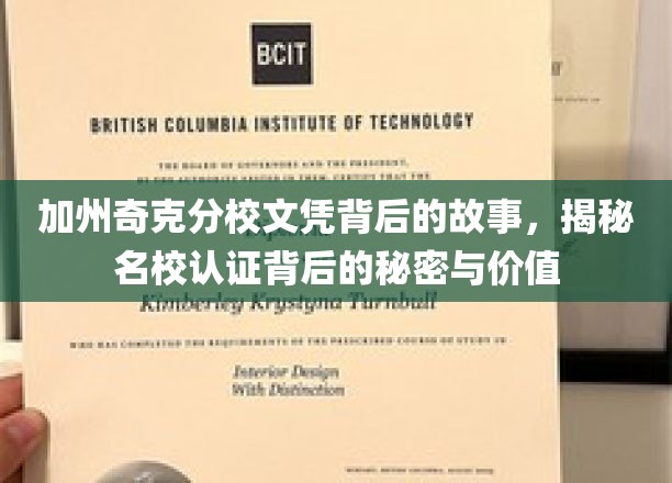 解码加州奇克分校文凭，名校光环背后的真实价值与认证奥秘