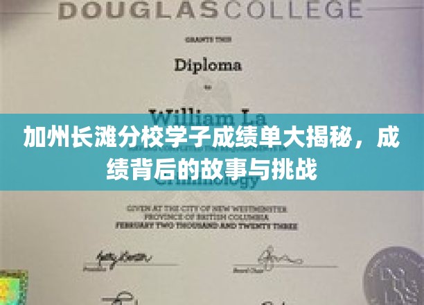 解码加州长滩分校学霸之路，揭秘成绩背后的奋斗与心路历程