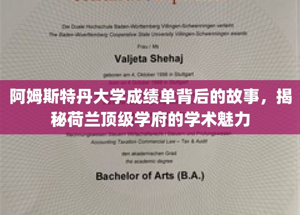 阿姆斯特丹大学成绩单背后的故事，揭秘荷兰顶级学府的学术魅力