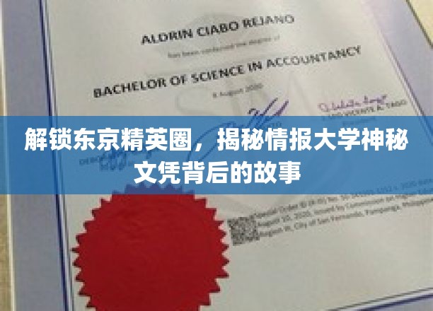 探寻东京精英圈密钥，情报大学文凭背后的传奇故事