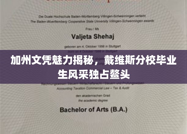 加州文凭的黄金价值，戴维斯分校学子闪耀职场前沿