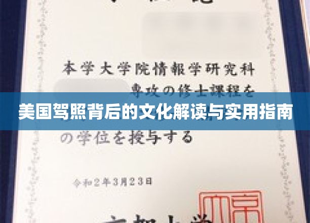 解锁美国驾照，文化内涵与必备攻略一网打尽
