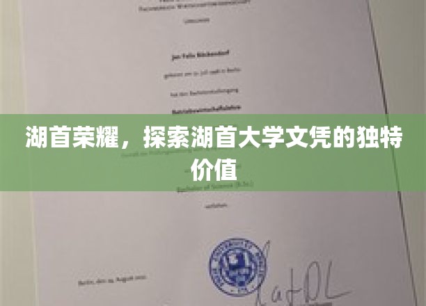 湖首大学文凭，揭开其背后的独特魅力与无限潜力